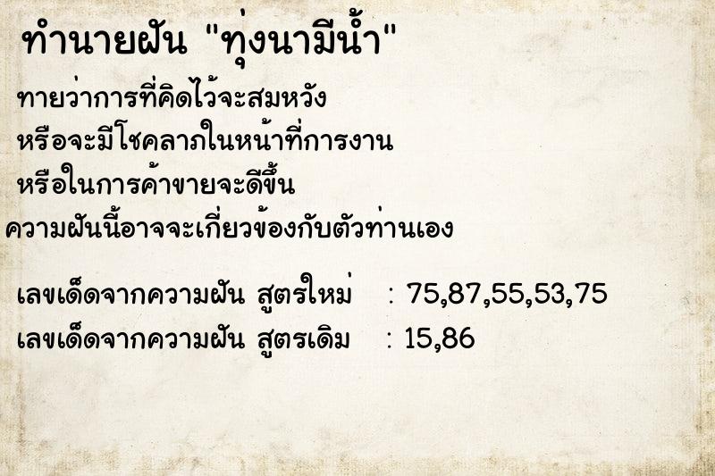 ทำนายฝันทุ่งนามีน้ำ ทำนายฝันทำนายฝันทุ่งนามีน้ำ