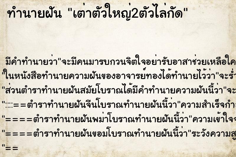 ทำนายฝันเต่าตัวใหญ่2ตัวไล่กัด ทำนายฝันทำนายฝันเต่าตัวใหญ่2ตัวไล่กัด