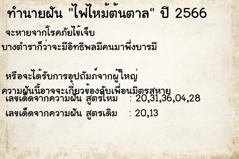 ทำนายฝันทำนายฝันไฟไหม้ต้นตาล