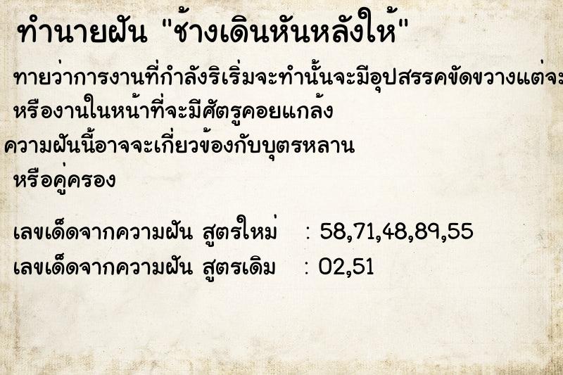 ทำนายฝัน ช้างเดินหันหลังให้ ทำนายฝัน ช้างเดินหันหลังให้