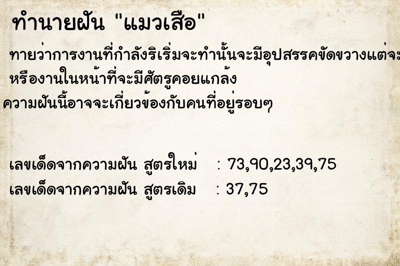 ทำนายฝันแมวเสือ ทำนายฝันทำนายฝันแมวเสือ