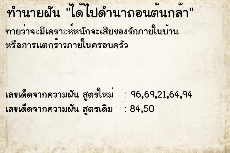 ทำนายฝันทำนายฝันได้ไปดำนาถอนต้นกล้า