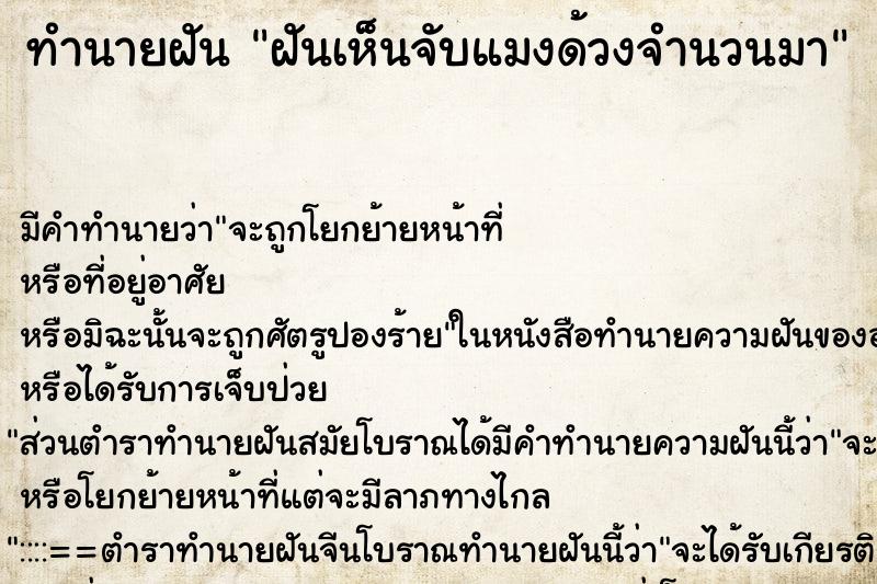 ทำนายฝัน ฝันเห็นจับแมงด้วงจำนวนมา ทำนายฝัน ฝันเห็นจับแมงด้วงจำนวนมา
