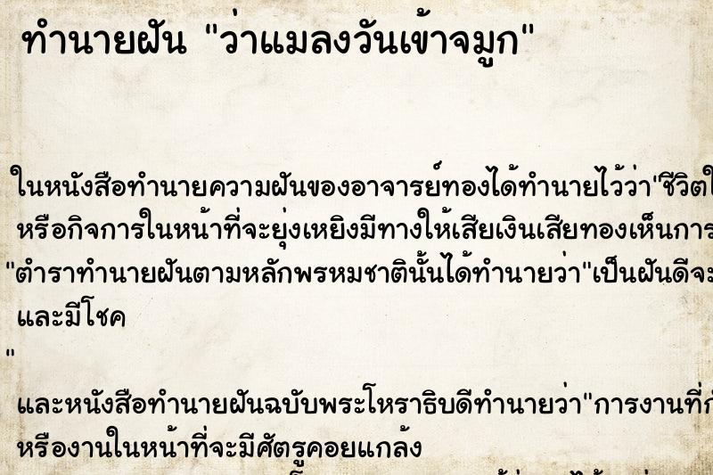 ทำนายฝันว่าแมลงวันเข้าจมูก ทำนายฝันทำนายฝันว่าแมลงวันเข้าจมูก
