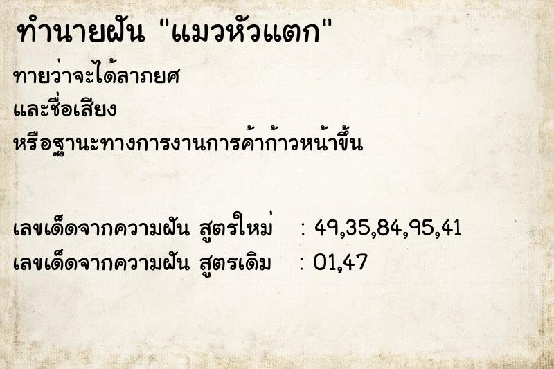 ทำนายฝันทำนายฝันแมวหัวแตก