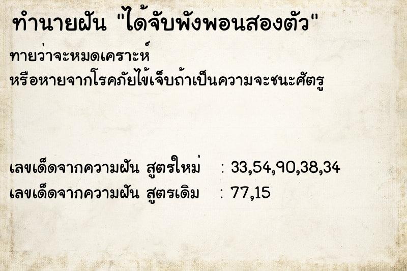 ทำนายฝันทำนายฝันได้จับพังพอนสองตัว