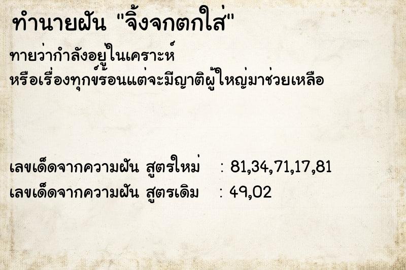 ทำนายฝัน จิ้งจกตกใส่ ทำนายฝัน จิ้งจกตกใส่