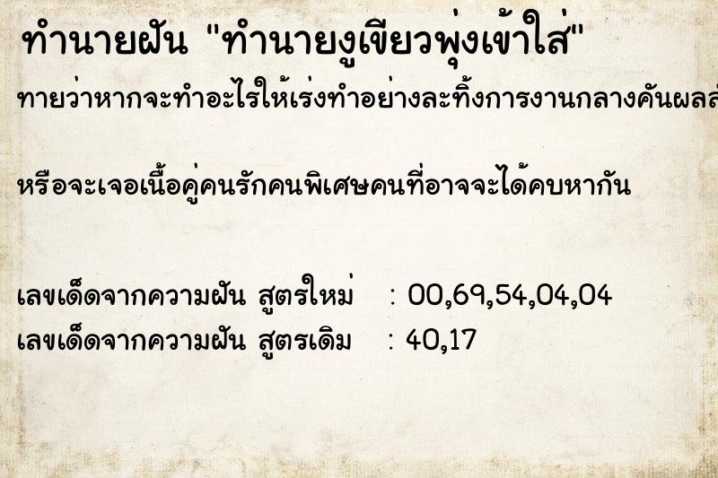 ทำนายฝันทำนายฝันทำนายงูเขียวพุ่งเข้าใส่