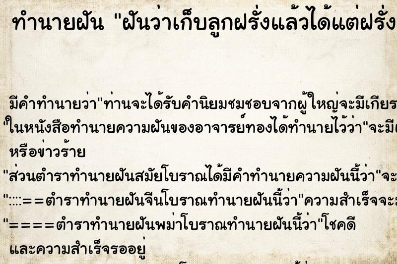 ทำนายฝัน ฝันว่าเก็บลูกฝรั่งแล้วได้แต่ฝรั่งเน่า ทำนายฝัน ฝันว่าเก็บลูกฝรั่งแล้วได้แต่ฝรั่งเน่า