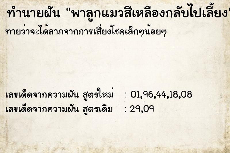 ทำนายฝันทำนายฝันพาลูกแมวสีเหลืองกลับไปเลี้ยง