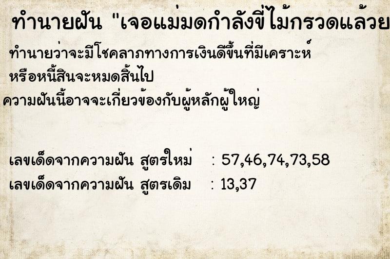 ทำนายฝันเจอแม่มดกำลังขี่ไม้กรวดแล้วยาพิษตกมาใส่ ทำนายฝันทำนายฝันเจอแม่มดกำลังขี่ไม้กรวดแล้วยาพิษตกมาใส่