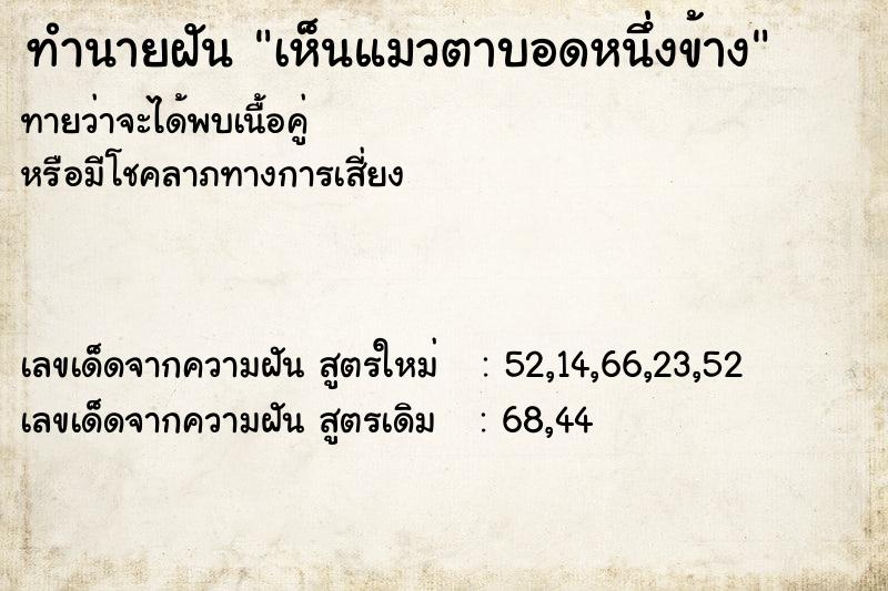 ทำนายฝันทำนายฝันเห็นแมวตาบอดหนึ่งข้าง