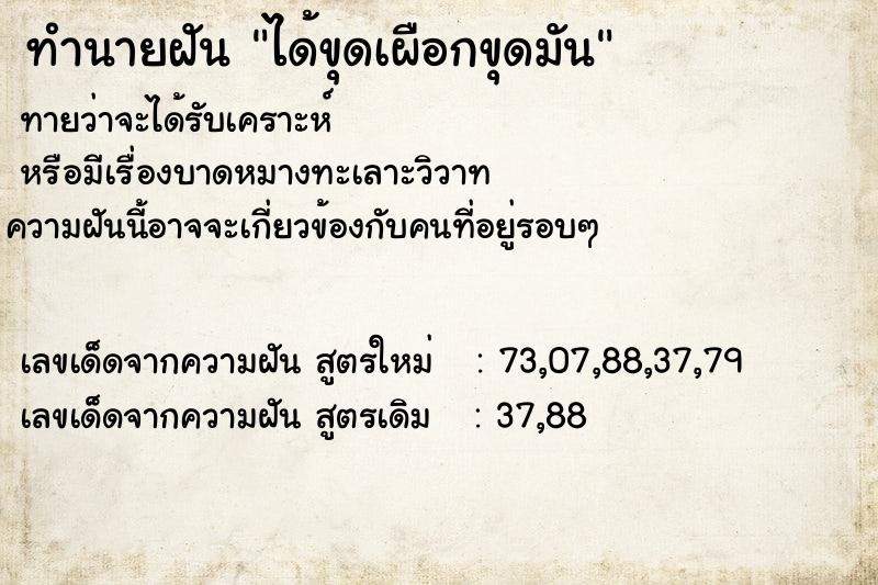 ทำนายฝันได้ขุดเผือกขุดมัน ทำนายฝันทำนายฝันได้ขุดเผือกขุดมัน