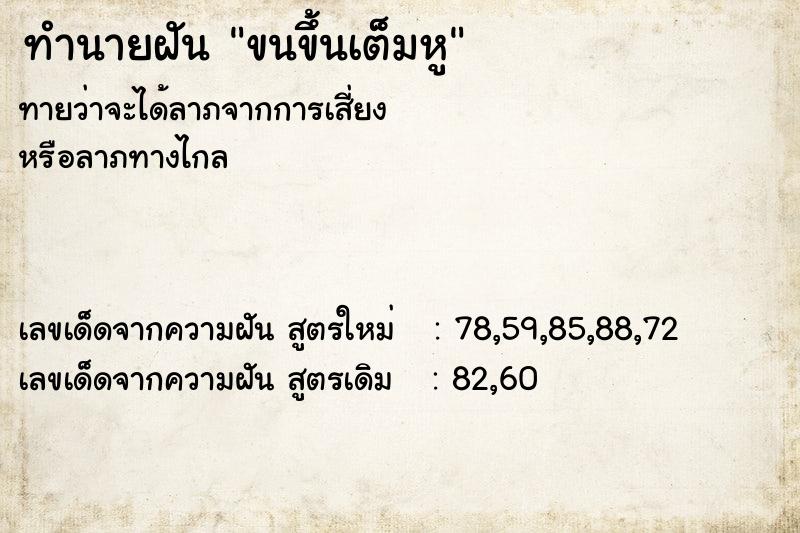 ทำนายฝันขนขึ้นเต็มหู ทำนายฝันทำนายฝันขนขึ้นเต็มหู
