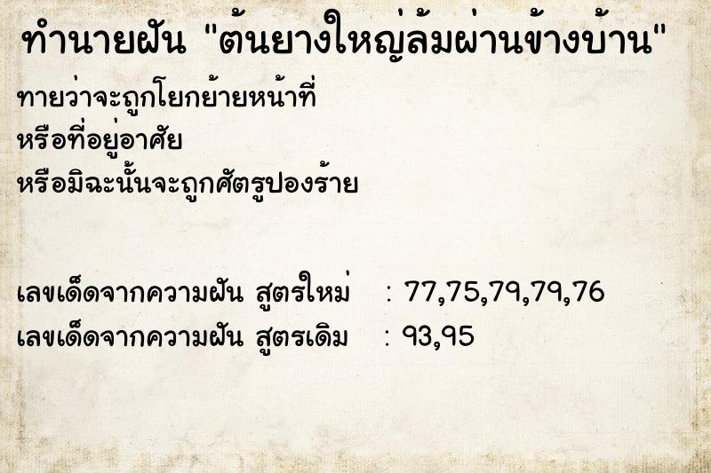 ทำนายฝัน ต้นยางใหญ่ล้มผ่านข้างบ้าน ทำนายฝัน ต้นยางใหญ่ล้มผ่านข้างบ้าน
