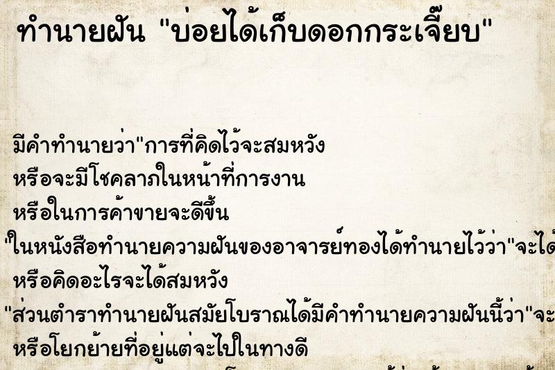 ทำนายฝันบ่อยได้เก็บดอกกระเจี๊ยบ ทำนายฝันทำนายฝันบ่อยได้เก็บดอกกระเจี๊ยบ