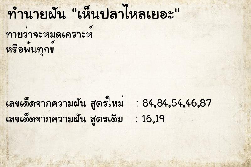 ทำนายฝันเห็นปลาไหลเยอะ ทำนายฝันทำนายฝันเห็นปลาไหลเยอะ