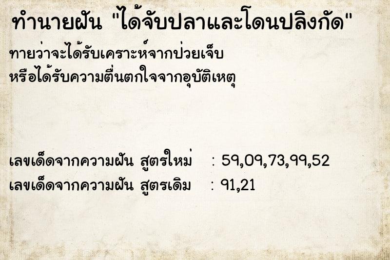 ทำนายฝันได้จับปลาและโดนปลิงกัด ทำนายฝันทำนายฝันได้จับปลาและโดนปลิงกัด