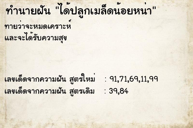 ทำนายฝันทำนายฝันได้ปลูกเมล็ดน้อยหน่า