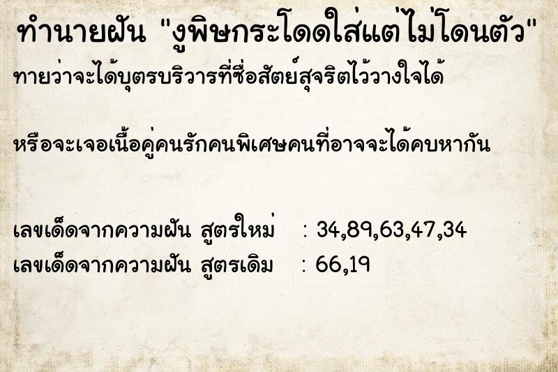 ทำนายฝันทำนายฝันงูพิษกระโดดใส่แต่ไม่โดนตัว