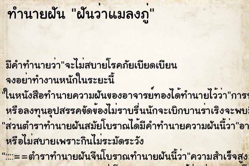 ทำนายฝัน ฝันว่าแมลงภู่ ทำนายฝัน ฝันว่าแมลงภู่