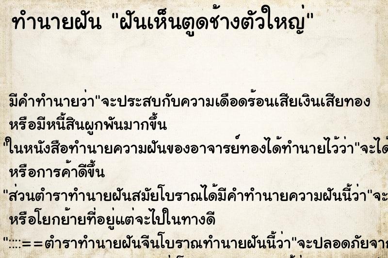 ทำนายฝัน ฝันเห็นตูดช้างตัวใหญ่ ทำนายฝัน ฝันเห็นตูดช้างตัวใหญ่