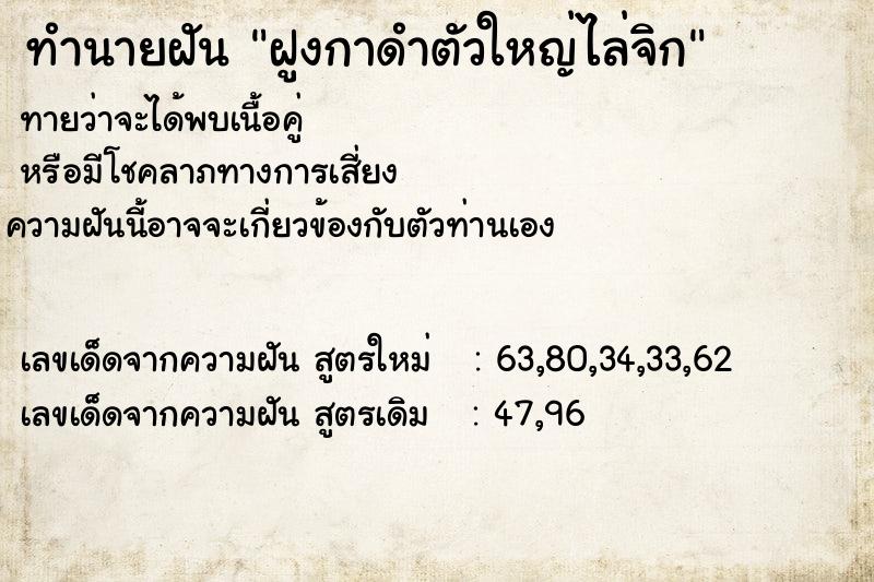 ทำนายฝัน ฝูงกาดำตัวใหญ่ไล่จิก ทำนายฝัน ฝูงกาดำตัวใหญ่ไล่จิก