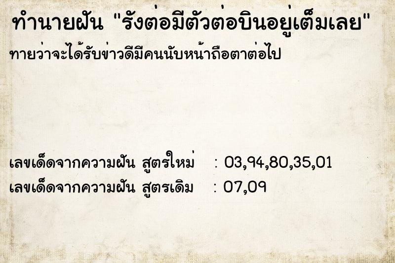 ทำนายฝันรังต่อมีตัวต่อบินอยู่เต็มเลย ทำนายฝันทำนายฝันรังต่อมีตัวต่อบินอยู่เต็มเลย