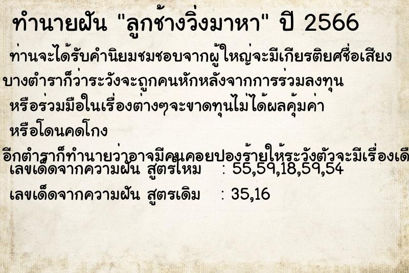 ทำนายฝัน ลูกช้างวิ่งมาหา ทำนายฝัน ลูกช้างวิ่งมาหา