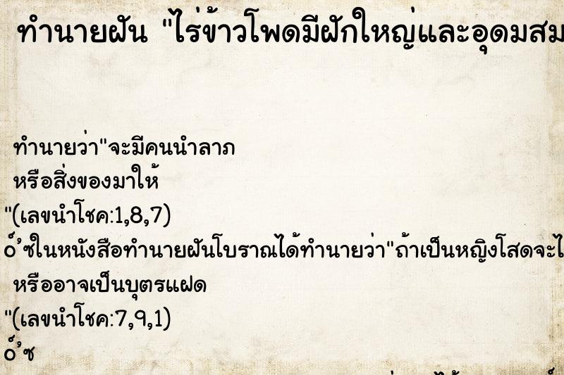 ทำนายฝัน ไร่ข้าวโพดมีฝักใหญ่และอุดมสมบูรณ์ ทำนายฝัน ไร่ข้าวโพดมีฝักใหญ่และอุดมสมบูรณ์