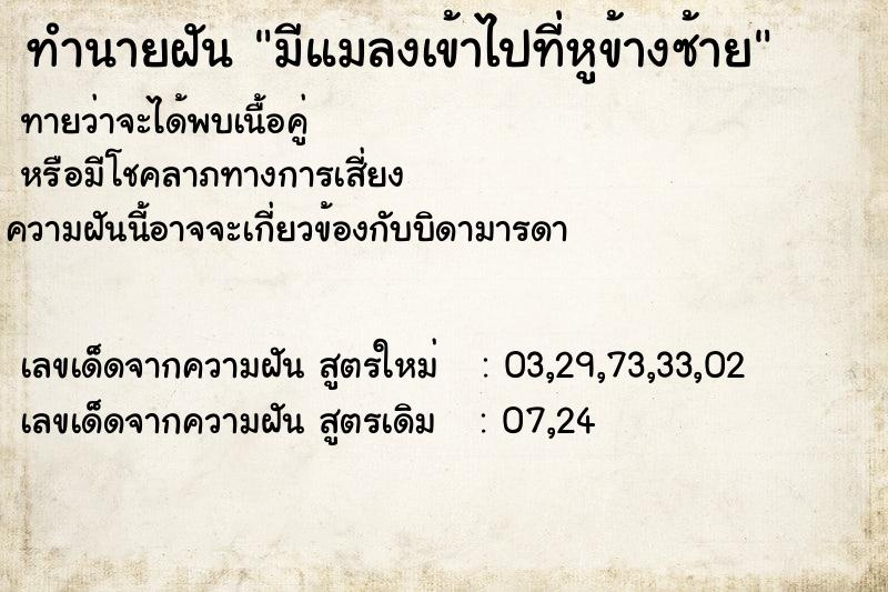 ทำนายฝัน มีแมลงเข้าไปที่หูข้างซ้าย ทำนายฝัน มีแมลงเข้าไปที่หูข้างซ้าย