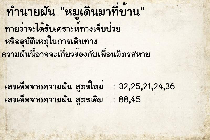 ทำนายฝันทำนายฝันหมูเดินมาที่บ้าน