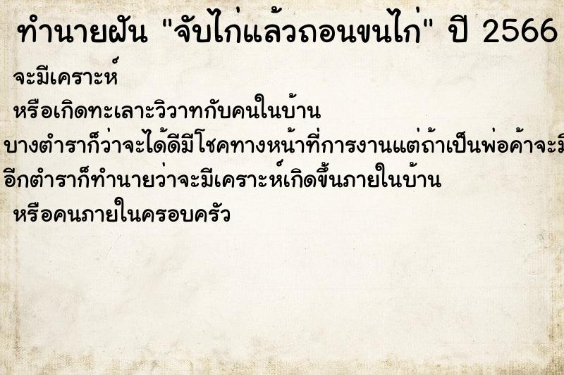 ทำนายฝัน จับไก่แล้วถอนขนไก่ ทำนายฝัน จับไก่แล้วถอนขนไก่