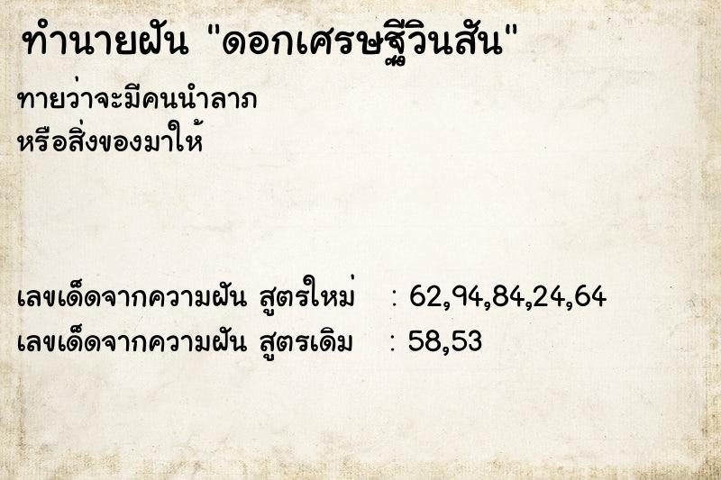 ทำนายฝัน ดอกเศรษฐีวินสัน ทำนายฝัน ดอกเศรษฐีวินสัน