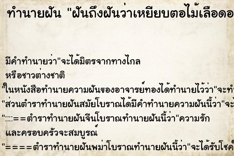 ทำนายฝันทำนายฝันฝันถึงฝันว่าเหยียบตอไม้เลือดออก