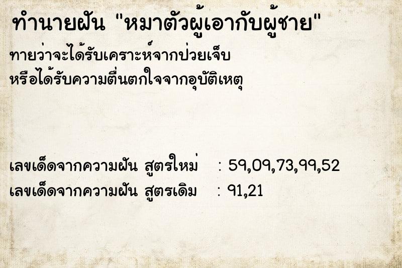 ทำนายฝันทำนายฝันหมาตัวผู้เอากับผู้ชาย