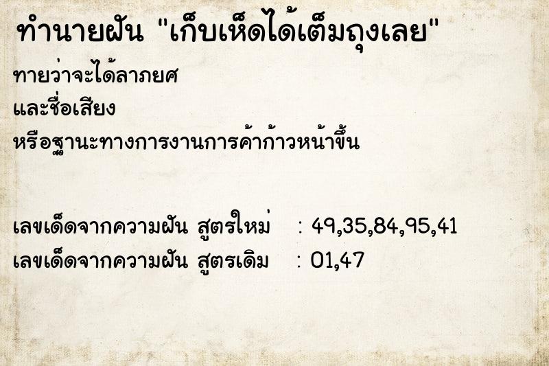 ทำนายฝันทำนายฝันเก็บเห็ดได้เต็มถุงเลย