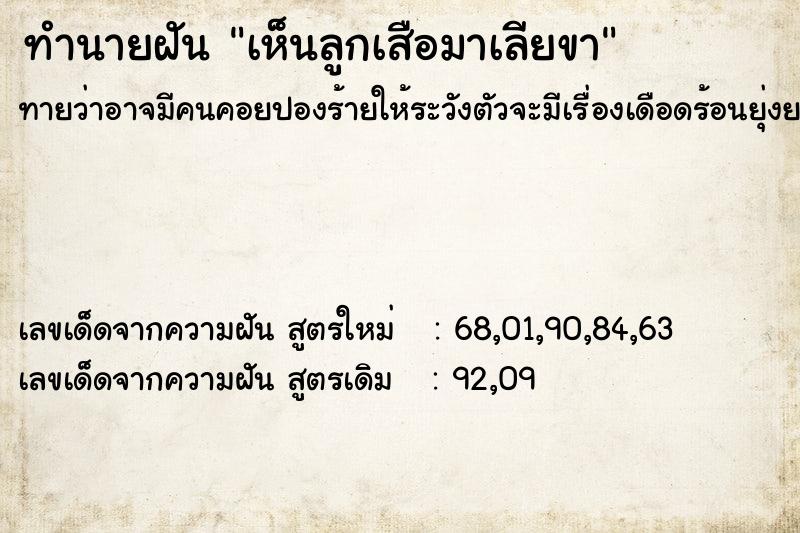 ทำนายฝันเห็นลูกเสือมาเลียขา ทำนายฝันทำนายฝันเห็นลูกเสือมาเลียขา