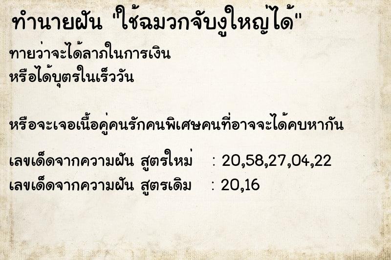 ทำนายฝัน ใช้ฉมวกจับงูใหญ่ได้