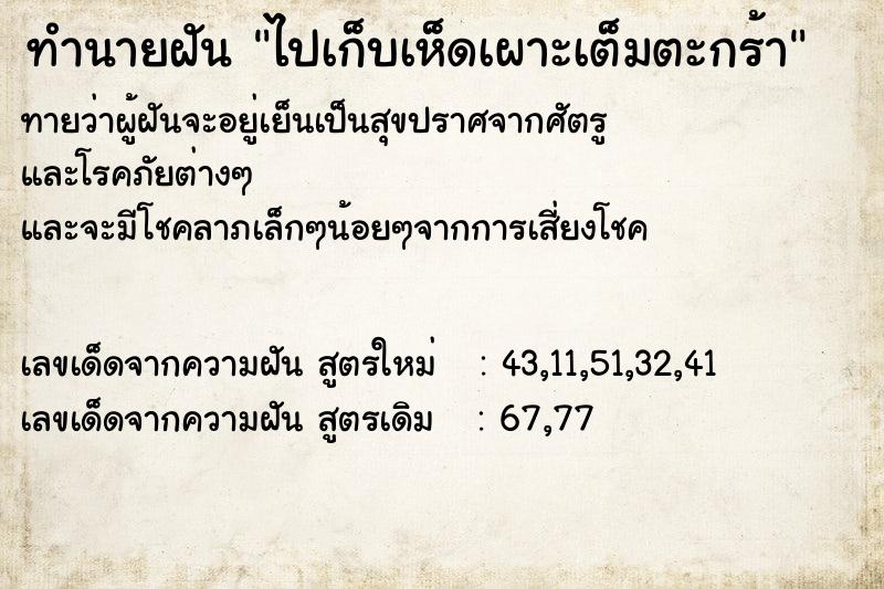 ทำนายฝันทำนายฝันไปเก็บเห็ดเผาะเต็มตะกร้า