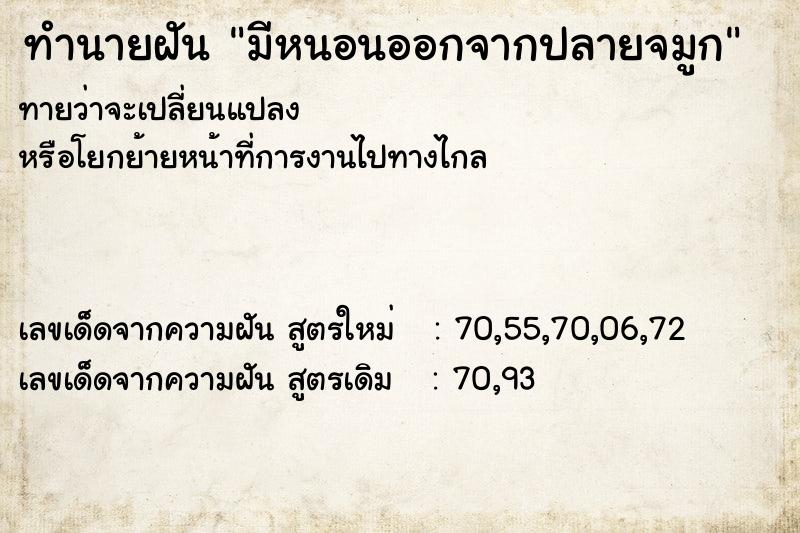 ทำนายฝันทำนายฝันมีหนอนออกจากปลายจมูก