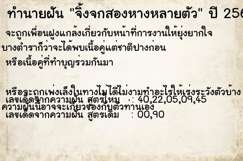 ทำนายฝัน จิ้งจกสองหางหลายตัว ทำนายฝัน จิ้งจกสองหางหลายตัว