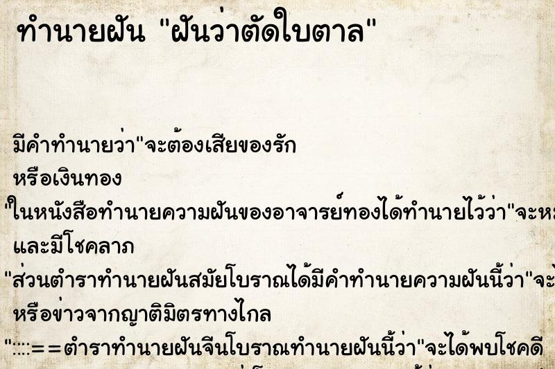 ทำนายฝันฝันว่าตัดใบตาล ทำนายฝันทำนายฝันฝันว่าตัดใบตาล