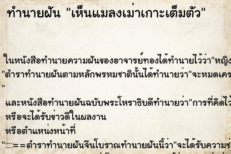 ทำนายฝัน เห็นแมลงเม่าเกาะเต็มตัว ทำนายฝัน เห็นแมลงเม่าเกาะเต็มตัว