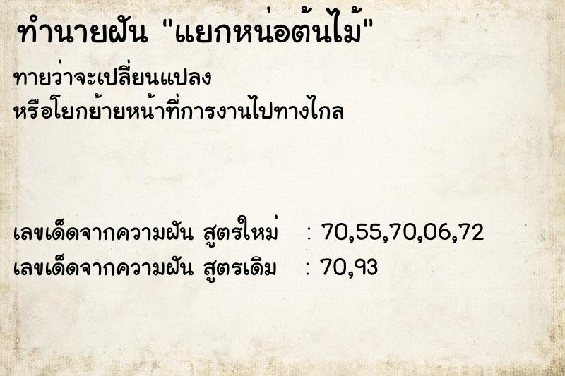 ทำนายฝันทำนายฝันแยกหน่อต้นไม้
