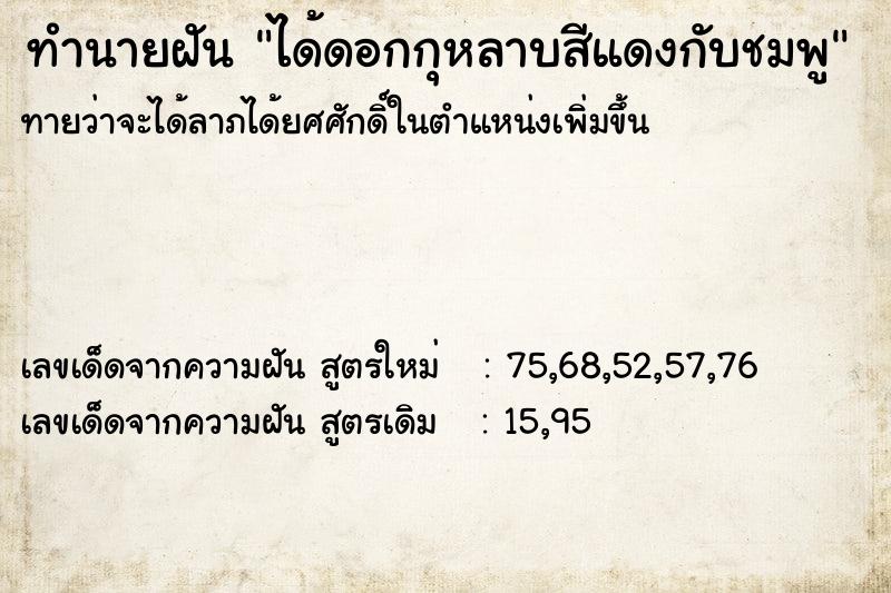 ทำนายฝันได้ดอกกุหลาบสีแดงกับชมพู ทำนายฝันทำนายฝันได้ดอกกุหลาบสีแดงกับชมพู