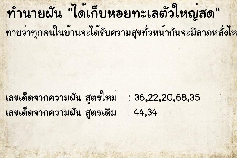ทำนายฝันได้เก็บหอยทะเลตัวใหญ่สด ทำนายฝันทำนายฝันได้เก็บหอยทะเลตัวใหญ่สด