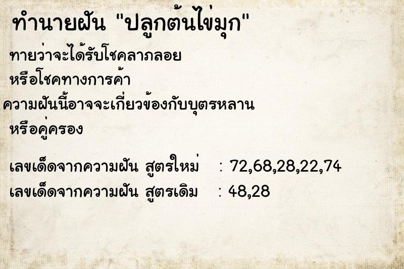 ทำนายฝันปลูกต้นไข่มุก ทำนายฝันทำนายฝันปลูกต้นไข่มุก