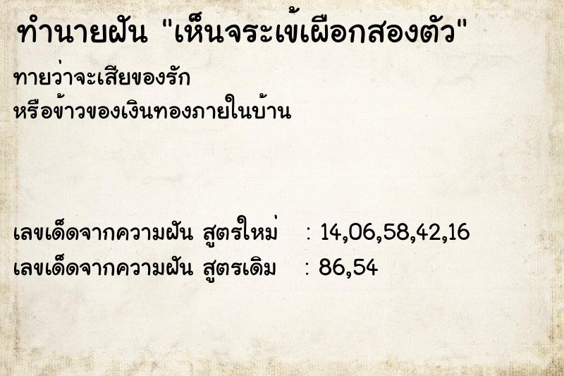 ทำนายฝันทำนายฝันเห็นจระเข้เผือกสองตัว