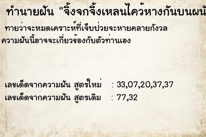 ทำนายฝันจิ้งจกจิ้งเหลนไคว้หางกันบนผนังบ้าน ทำนายฝันทำนายฝันจิ้งจกจิ้งเหลนไคว้หางกันบนผนังบ้าน